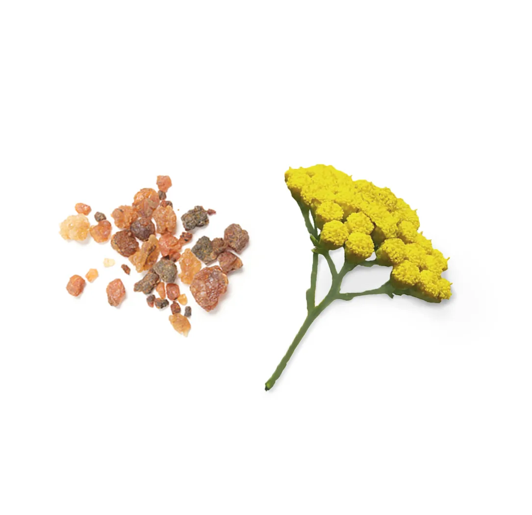 dōTERRA Balance - Image 2